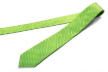 Шелковый галстук Skoda
