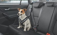 Ремень безопасности для собаки Skoda, размер S