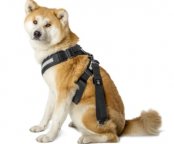 Ремень безопасности для собаки Skoda, размер XL