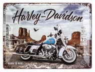 Металлическая пластина Harley-Davidson, 30х40 см.