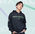 Мужское худи Haval