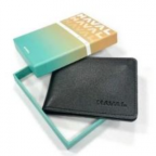 Футляр Great Wall для автодокументов